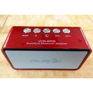 Loa bt ws-655