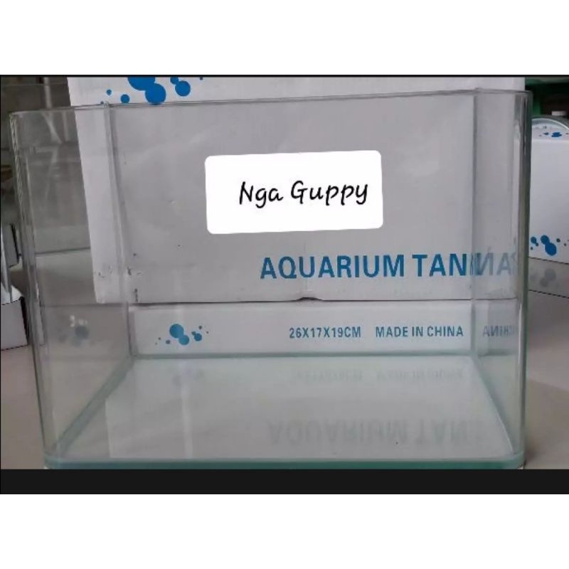 Hồ Đúc Bo Cong 2 cạnh - Nuôi cá Huyết Kiếm - Nga Guppy