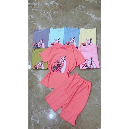 xã kho đồ bộ ngố combo 3 bộ 105k