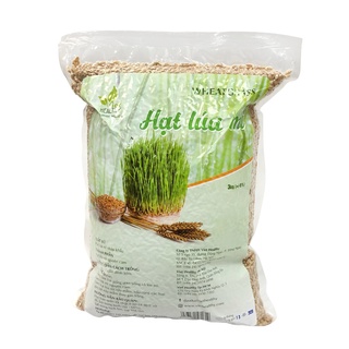 Hạt Giống Cỏ Lúa Mì Viet Healthy - Túi 3kg