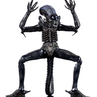 Mô hình NECA Alien Big Chap có sẵn