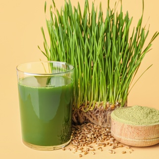 Bột cỏ lúa mì non nhập khẩu 500g