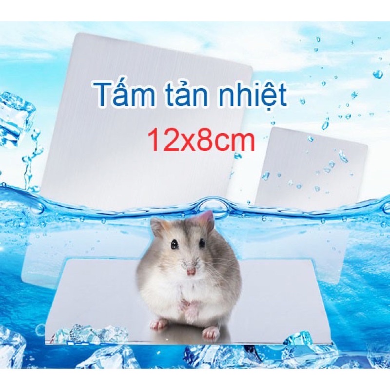 Tấm làm mát - Miếng tản nhiệt cho Hamster