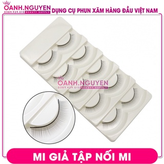 Mi Giả Tập Nối Mi/ Mi Tập Nối Dán Đầu Canh (10 mi/khay)