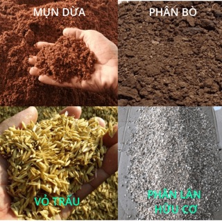 Hỗn Hợp Phân Đất Trộn Sẵn Trồng Cây 1KG