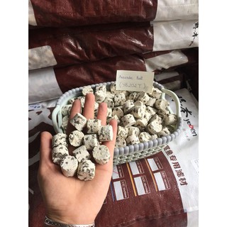 Sứ Lọc Yeben Anerobic Media