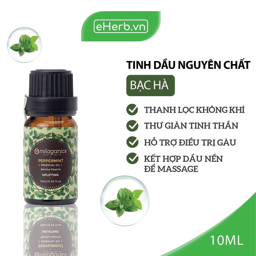 Tinh Dầu Bạc Hà Peppermint MILAGANICS, Thiên Nhiên Nguyên Chất, Cao Cấp Nhập Khẩu 10ml (Chai)