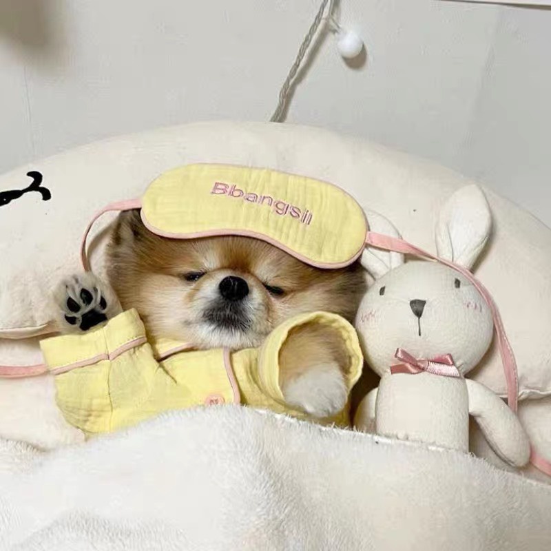 Áo ngủ kèm bịt mắt dành cho thú cưng