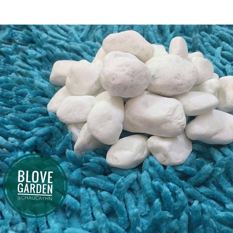1kg Sỏi trắng trang trí sân vườn, trang trí thác áp tường hoặc ốp thành hồ hòn non bộ, bể c, terarium