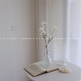 Hoa cúc hoạ mi decor