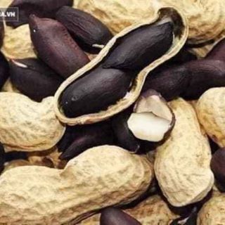 Hạt giống lạc đen