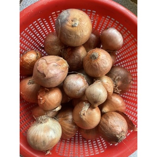 HÀNH CỦ INDO 1KG