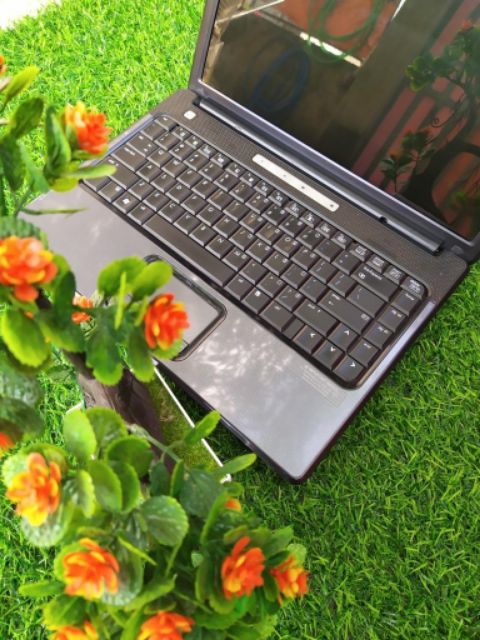 cung cấp các dòng laptop giá rẽ nhập khẩu mỹ, nhật.Máy phục vụ nhu cầu lướt wed, face book, youtube, word, excel . | BigBuy360 - bigbuy360.vn