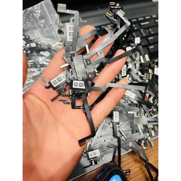 dây loa trong trơn cảm biến  x/xs/xsm/11pr/11prm/12prm