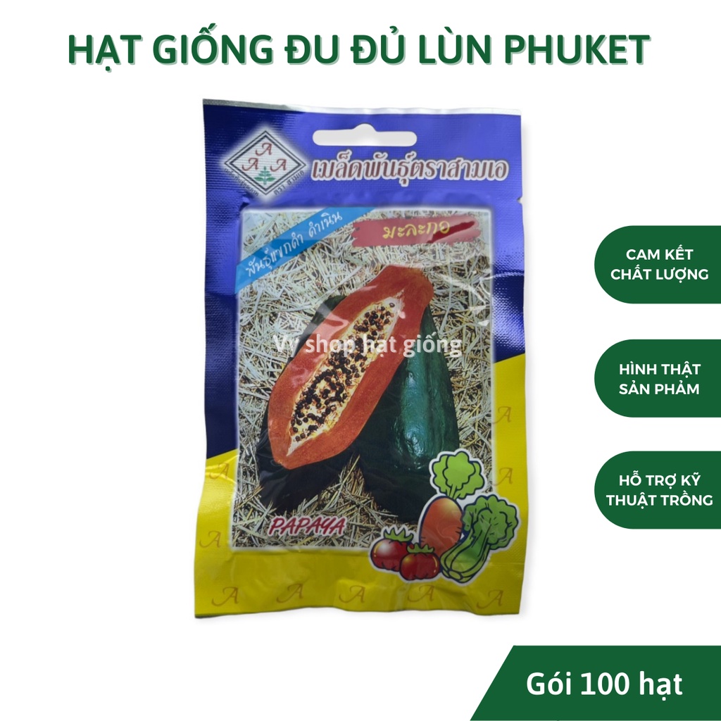 Hạt giống đu đủ lùn Phuket siêu trái