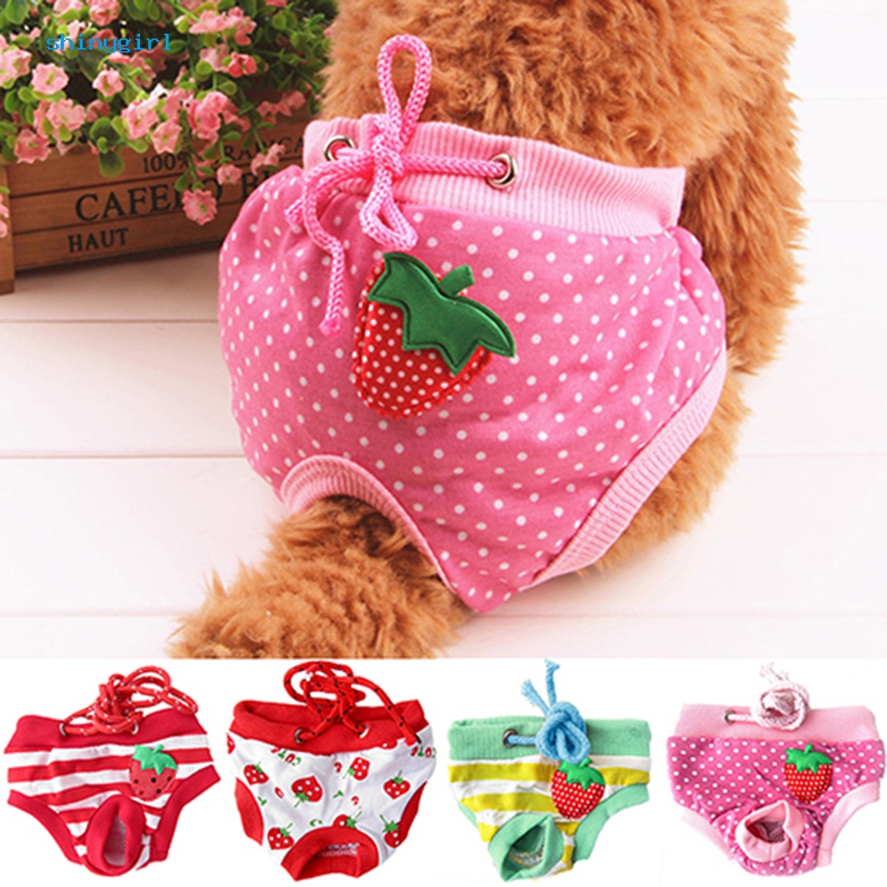Quần Tã Cho Thú Cưng 3 Kích Thước M / L / Xl