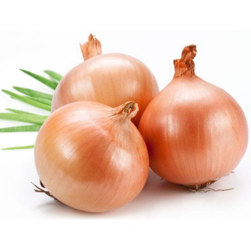 1kg CỦ HÀNH TÂY