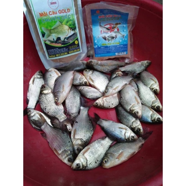 Mồi câu cá Diếc siêu nhạy ngũ cốc | combo 5 gói