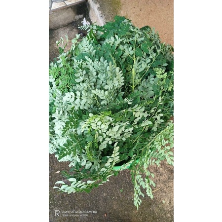 Chùm ngây nguyên chất nhà làm handmade 100gr