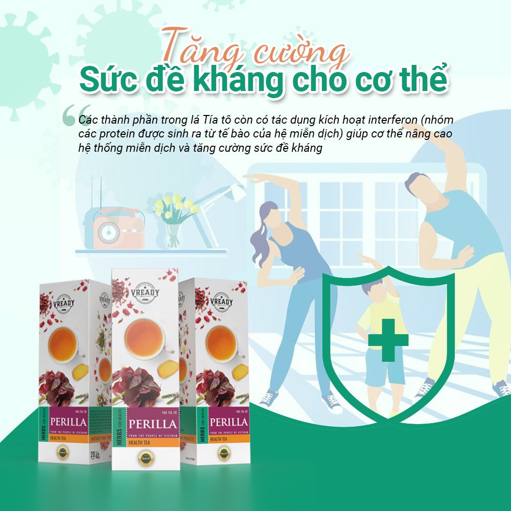 Trà Tía Tô Vready - Trà Túi Lọc Thanh Nhiệt, Giải Cảm, Giảm Cân Hiệu Quả | BigBuy360 - bigbuy360.vn