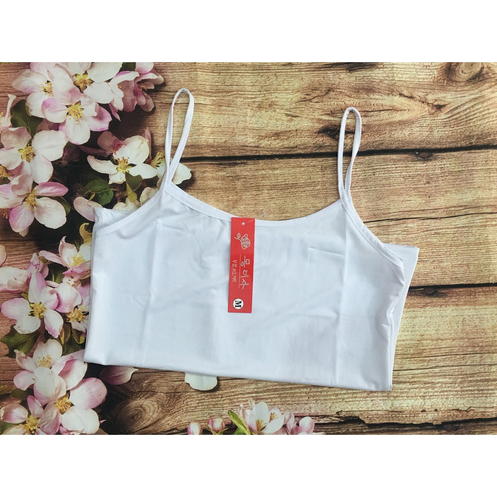 Áo lá thun lạnh trơn nhiều size