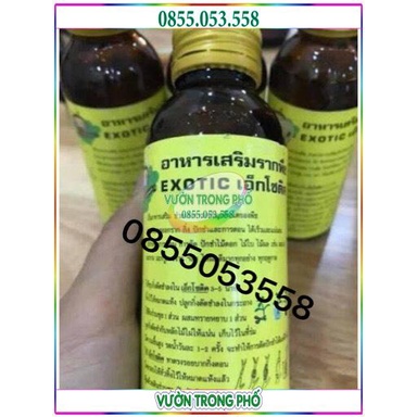 KÍch ra rễ Thái Lan Exotic cực mạnh 100ml