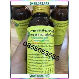 KÍch ra rễ Thái Lan Exotic cực mạnh 100ml