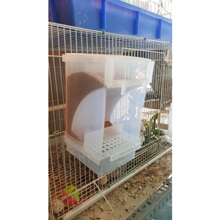 Máng ăn tự động chống bới cho chim, gà
