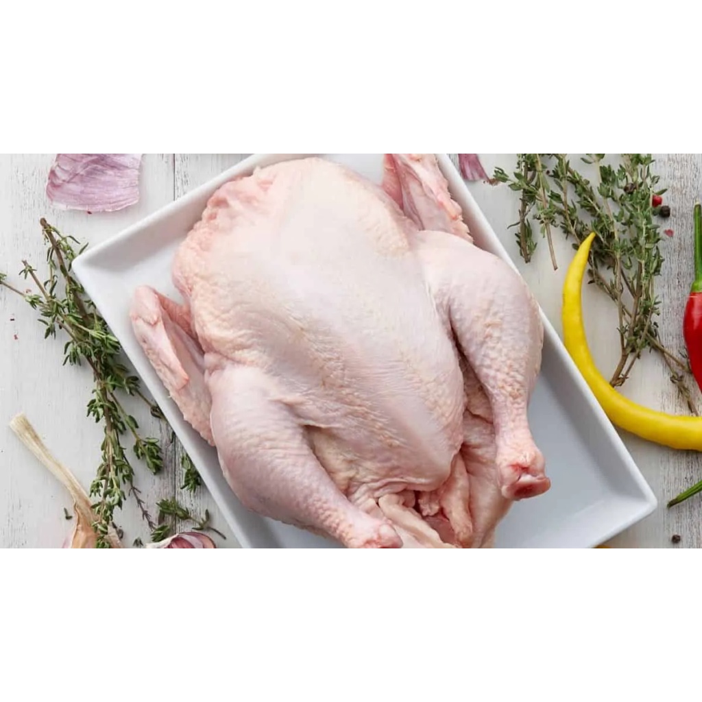 Gà dai nguyên con Hàn Quốc