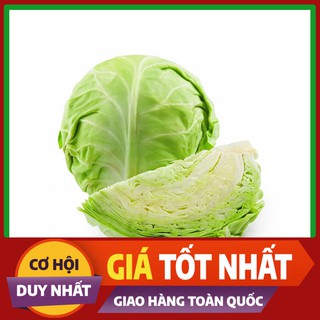 Hạt giống Cải Bắp Xanh