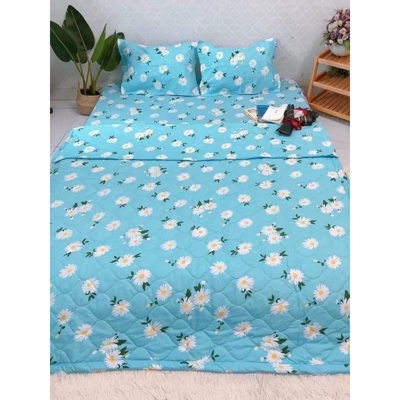 Bộ ga gối 4 món cotton poli siêu đẹp giá rẻ