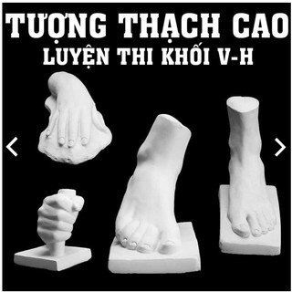 Tượng thạch cao ôn thi. tượng tứ chi, ôn thi khối V-H