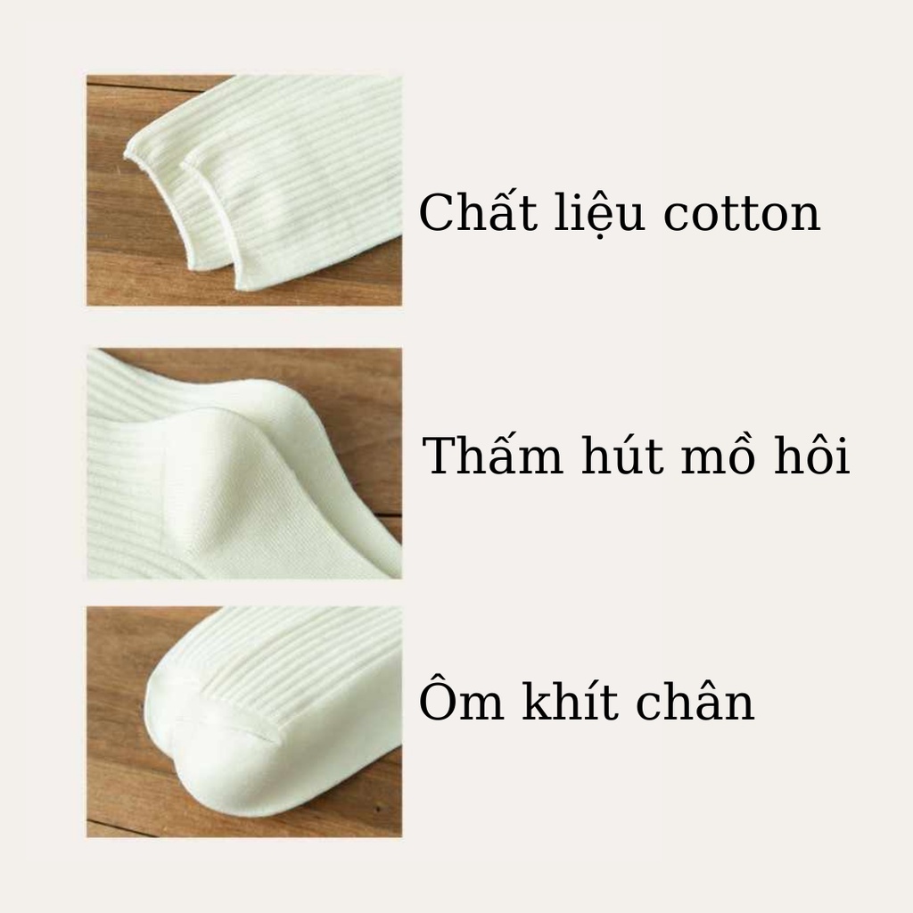 Tất len gân tăm vớ cao cổ Hàn Quốc dày dặn HAMYN