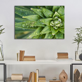 Tranh canvas chủ đề lá tươi mát cho không gian của bạn - Khung Hình Phạm Gia PG158