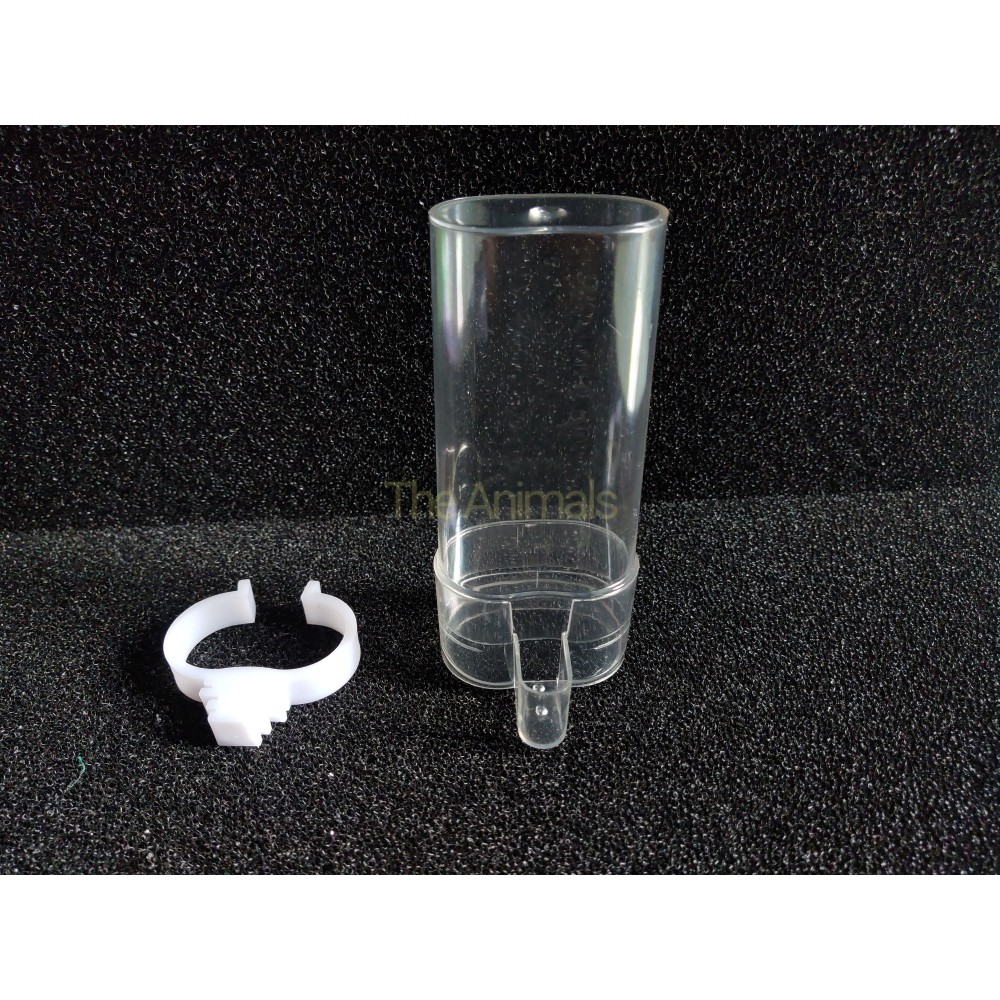 Bình uống nước, đựng thức ăn tự động cho chim  - Cóng uống nước cho chim