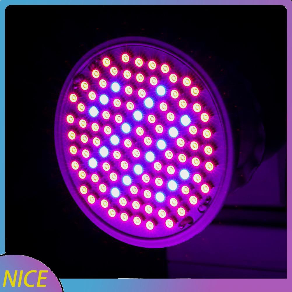 Bộ 8 Đèn Led Toàn Bộ Chiếu Sáng Trồng Cây Phong Cách Châu Âu