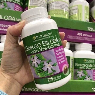 🌼Gingko  Bibola 300v ( Mỹ)