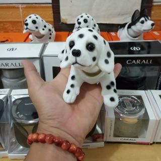 Chó cảnh lắc lư để ô tô