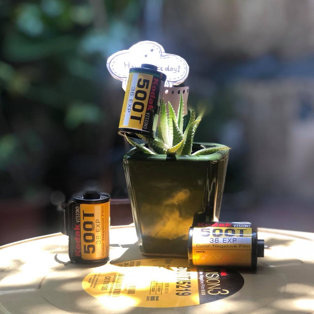 Kodak Vision3 500T (36)