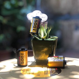 Kodak Vision3 500T (36)