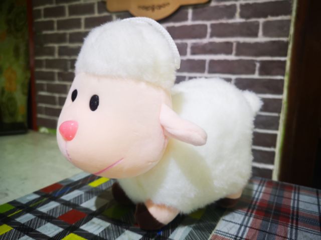 Cừu bông xinh xắn