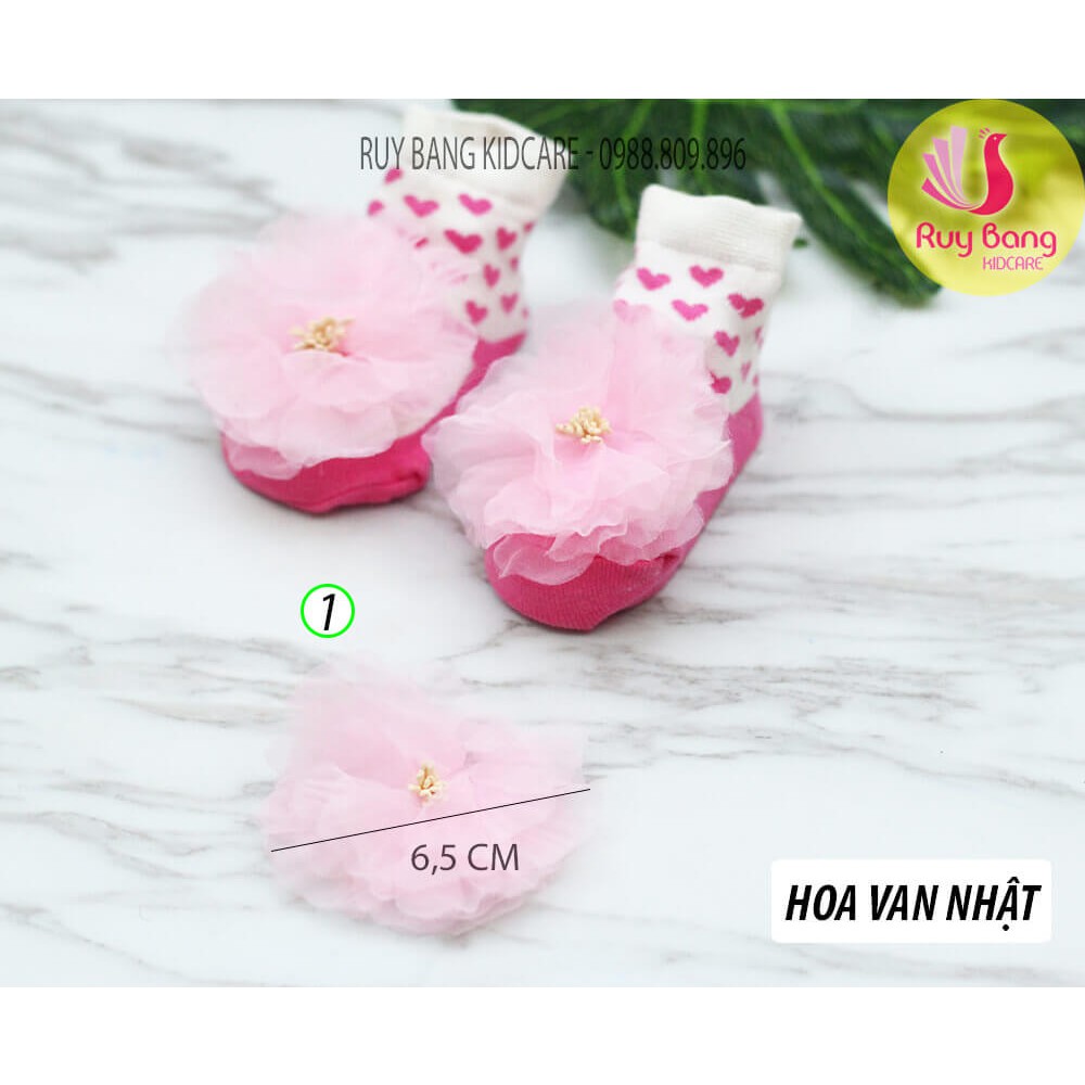 Hoa voan nhật