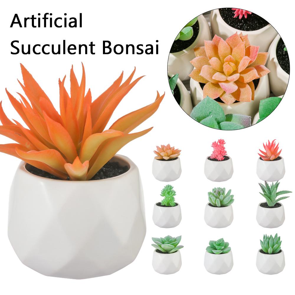 YOLA Chậu Cây Bonsai Giả Mini Trang Trí Nhà Cửa