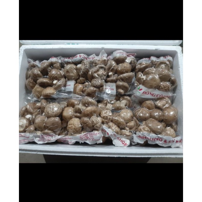 nấm đông cô tươi 175g