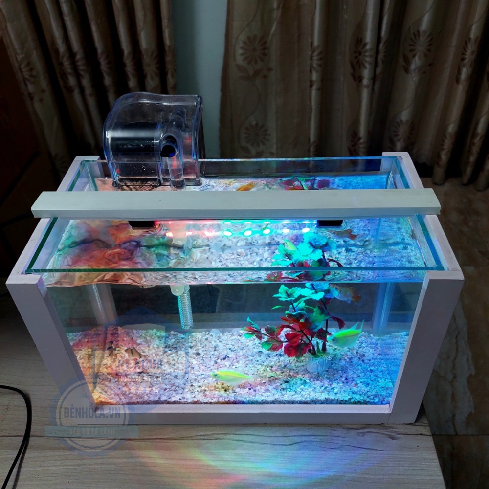 Bể cá mini COMBO đầy đủ phụ kiện