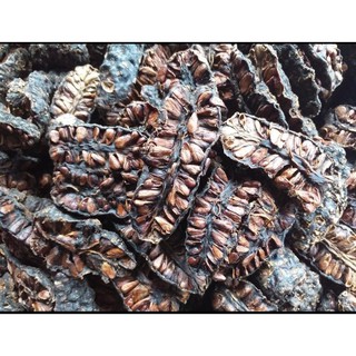 TRÁI NHÀU KHÔ CAO CẤP 1KG