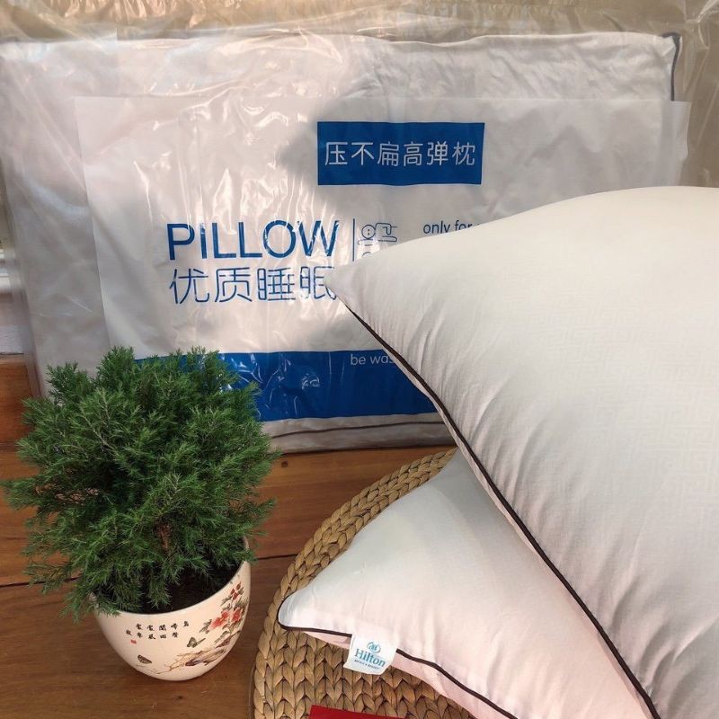 Combo 2 ruột gối đầu Hilton Loại 1, 45x65cm Ruột gối đầu đẹp