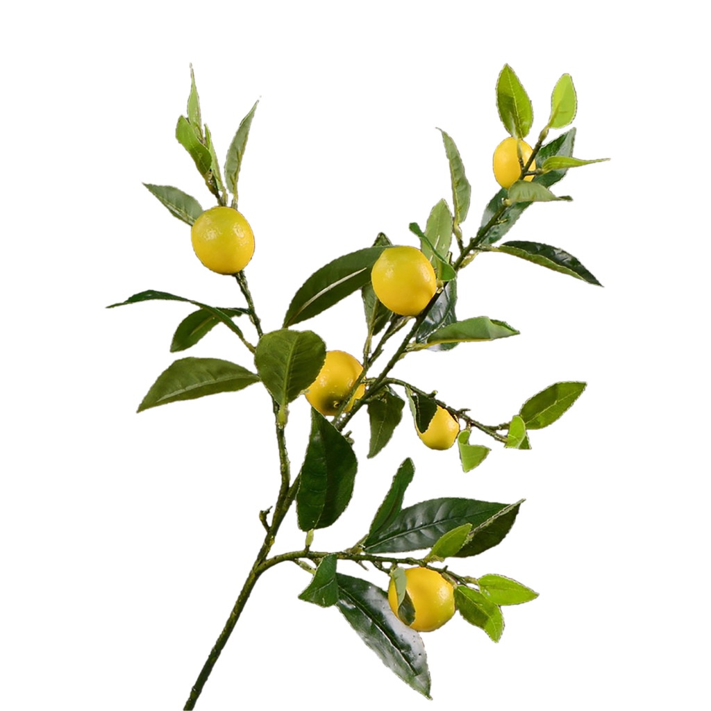 Nhánh Cây Chanh Giả 91cm / 35.8in Trang Trí Phòng Khách / Phòng Ăn / Nhà Bếp / Ban Công / Phòng Ăn Diy