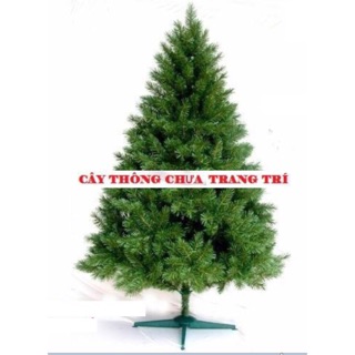 Cây thông chưa trang trí 1m5