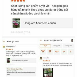 Bộ HONG AM TIEU VIEM chuẩn(gồm 1 hộp kén và 1 hộp xông)